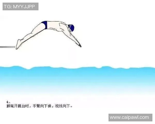 从高空到水花之间探秘跳水运动员背后的力量与优雅