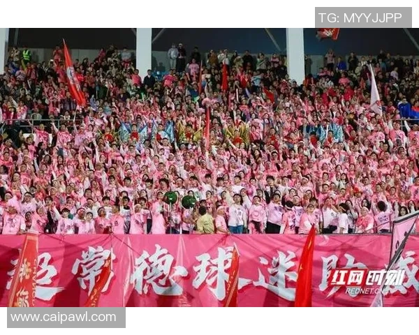 常德队足球再创辉煌奋勇拼搏展现城市精神风貌 常德队足球再创辉煌奋勇拼搏展现城市精神风貌