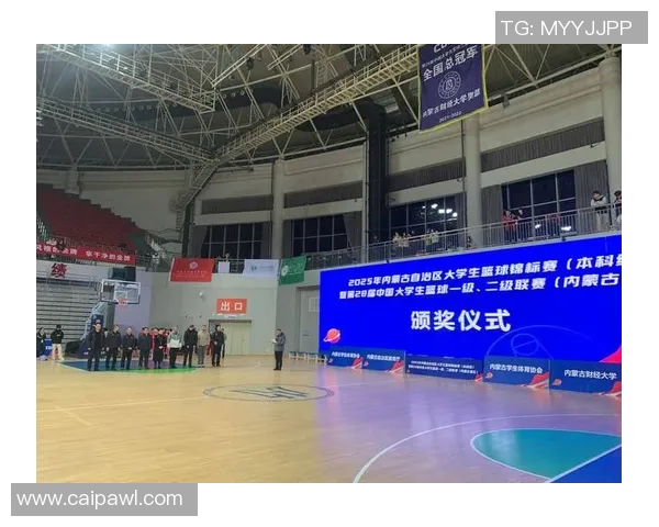 篮球燃动青春逐梦赛场展现团队拼搏与无限激情