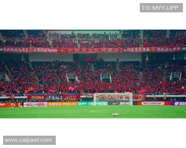 透視世界杯賽場背後的激情與全球足球文化交融盛宴新篇章的魅力