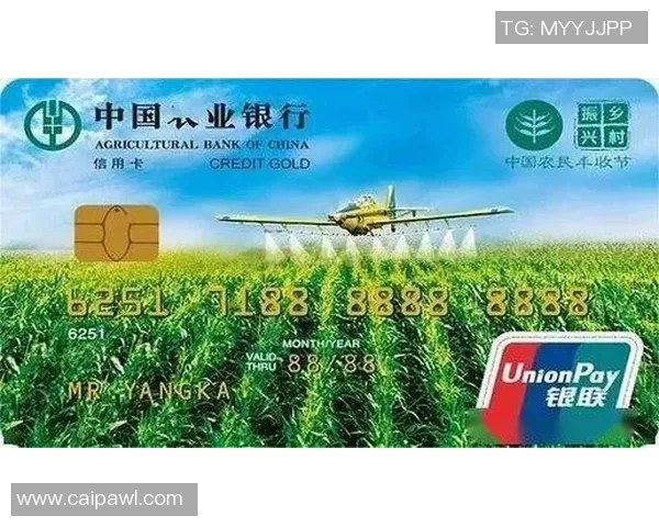 九台农商银行创新金融服务助力乡村振兴与地方经济发展新篇章 九台农商银行创新金融服务助力乡村振兴与地方经济发展新篇章